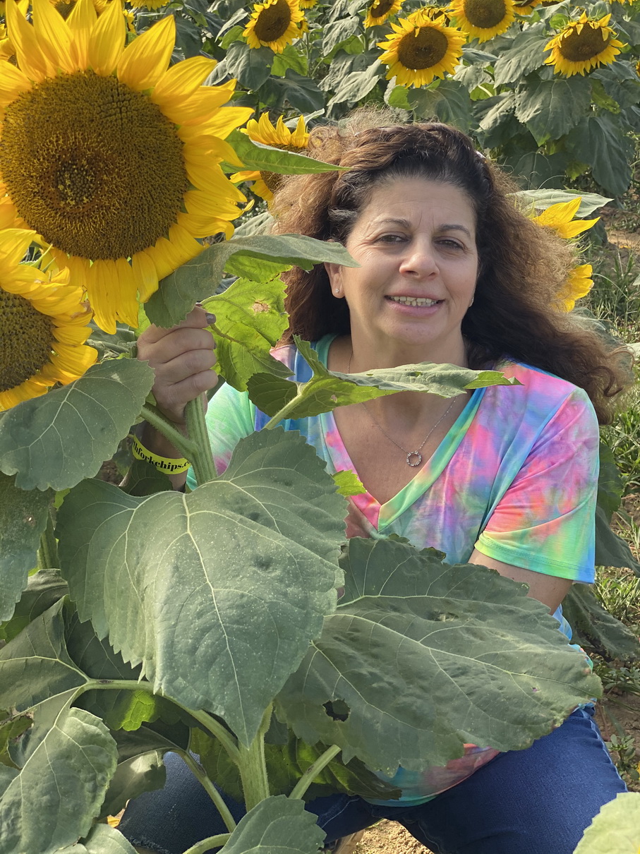 Sunflower Farm Steve’s Photos